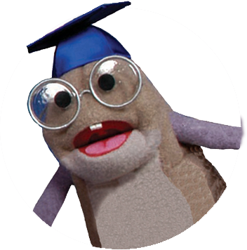 Sir Rebrum