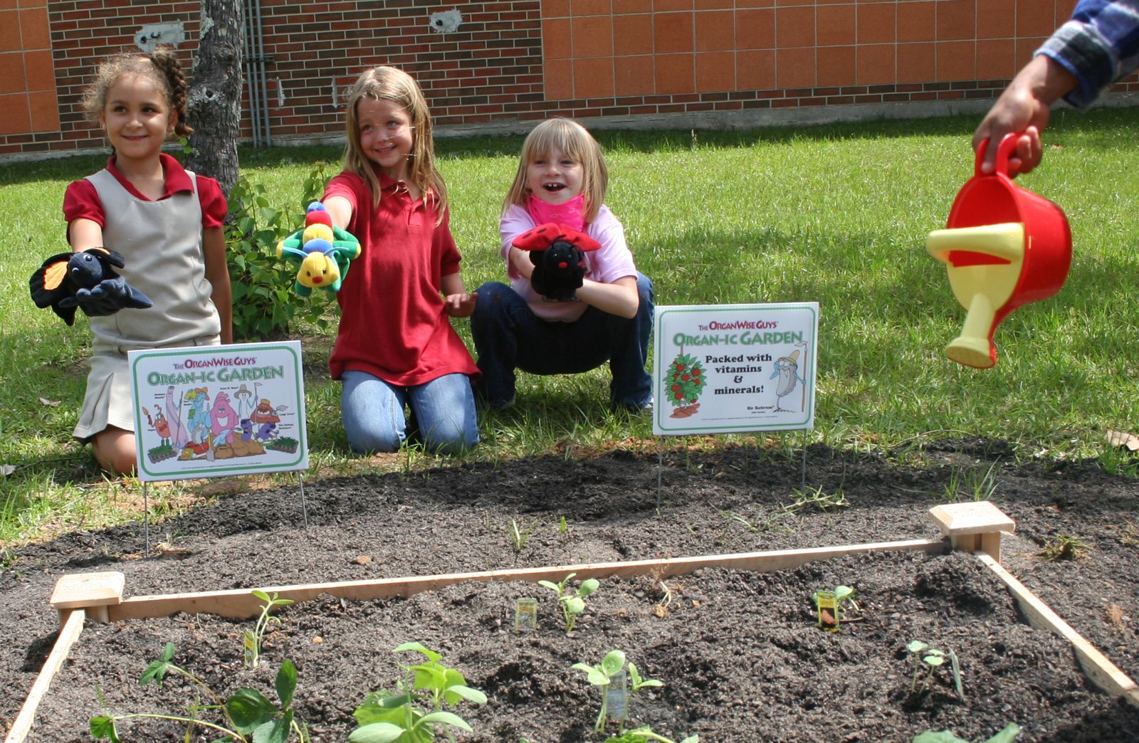 Early Childhood Contact Form